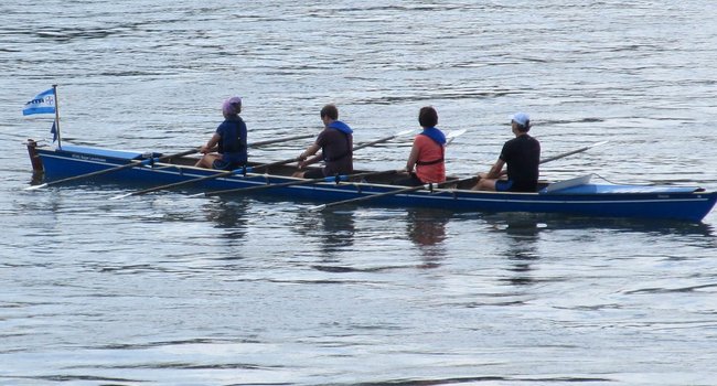 Ruderboot auf dem Rhein