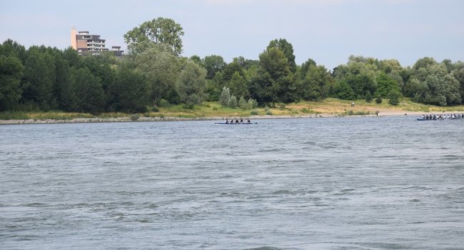 Zieleinlauf beim Kölner Schülervierer